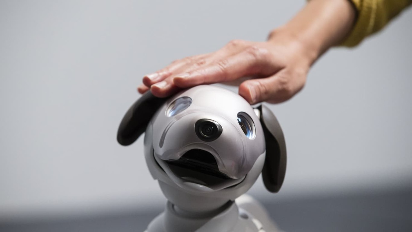 Descubre la compañía perfecta: mascota robot