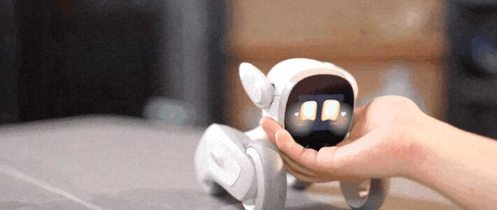 Descubre la compañía perfecta: mascota robot