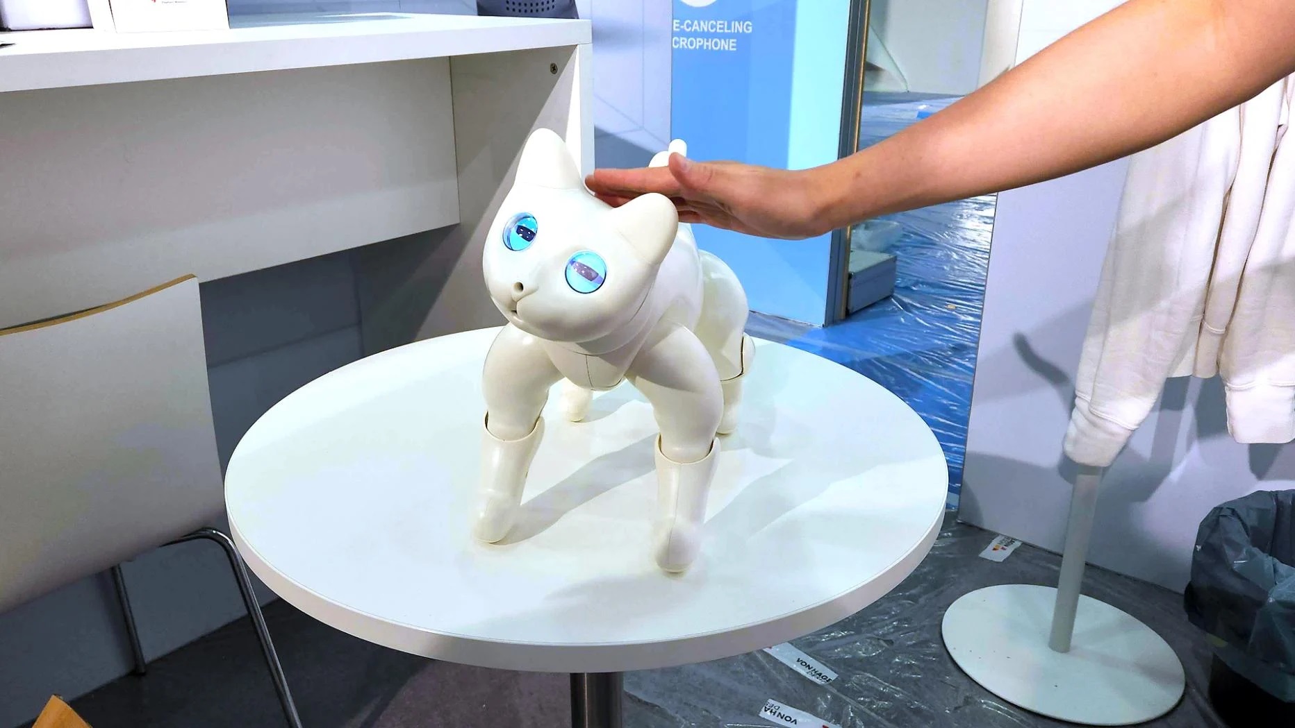 Descubre la compañía perfecta: gatos robots